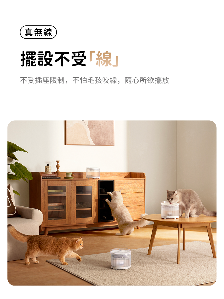 HomeRun BF10 Wireless Pet Water Fountain