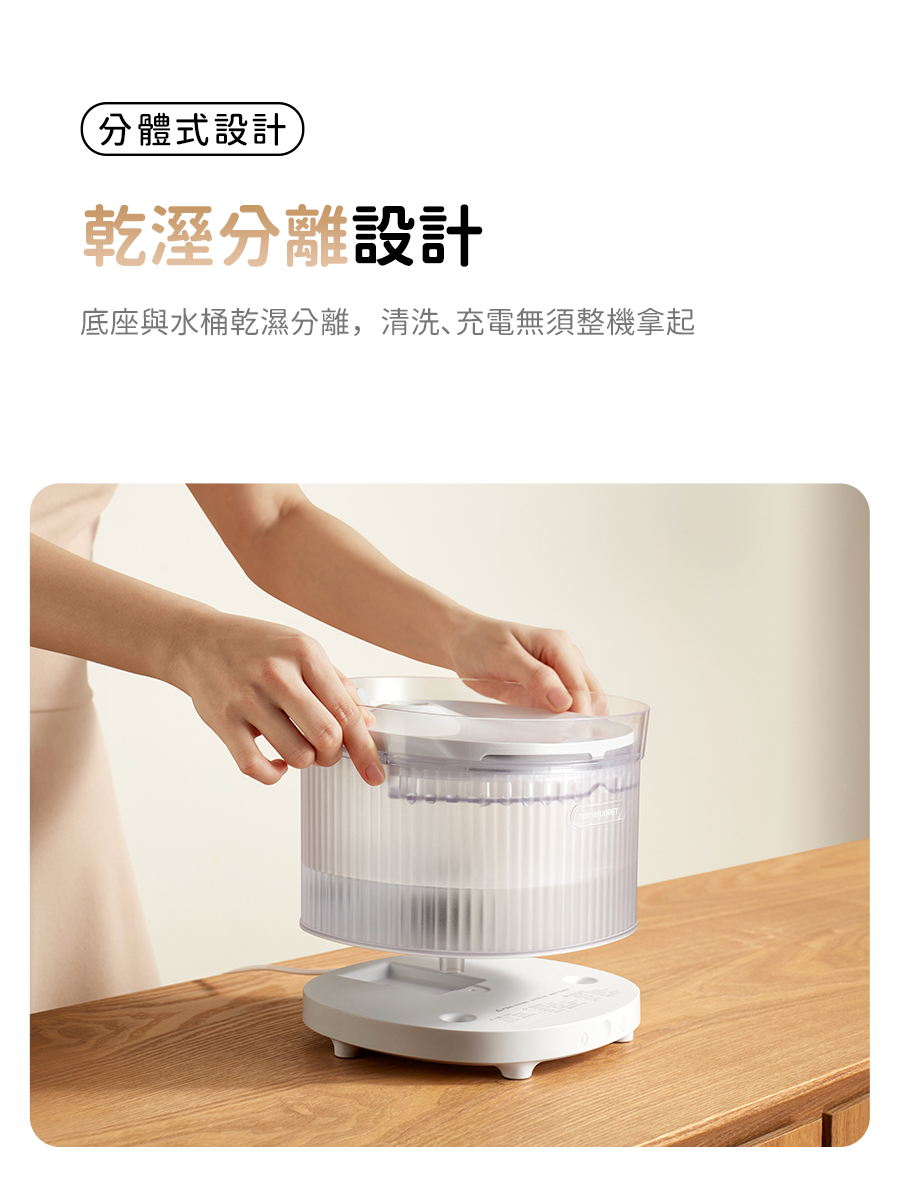 HomeRun BF10 Wireless Pet Water Fountain