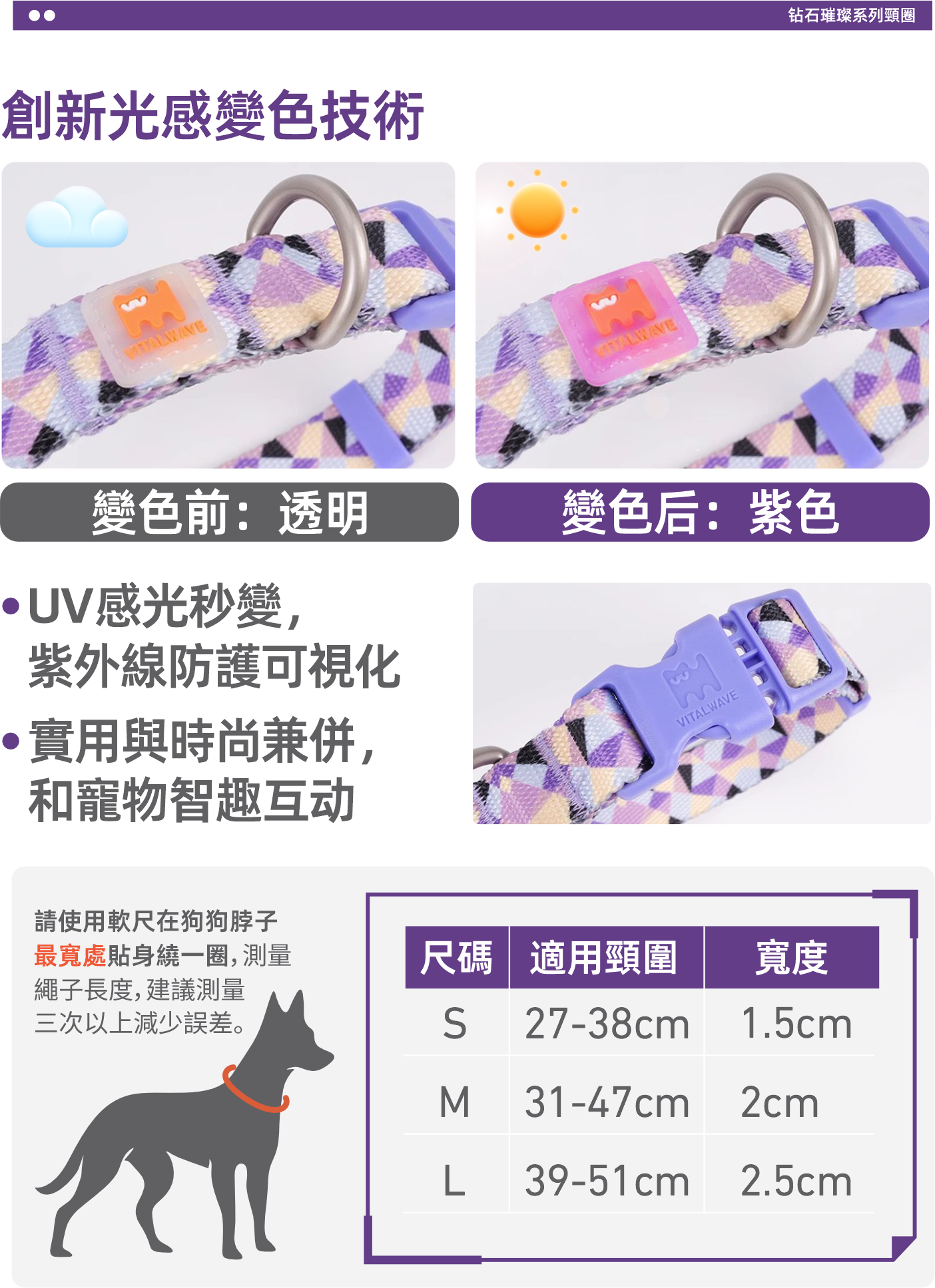 Diamond Gleam Collar & Dog Leash Two-Piece Set
