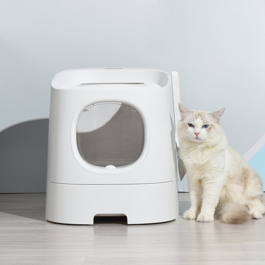 Homerun Cat Litter Box