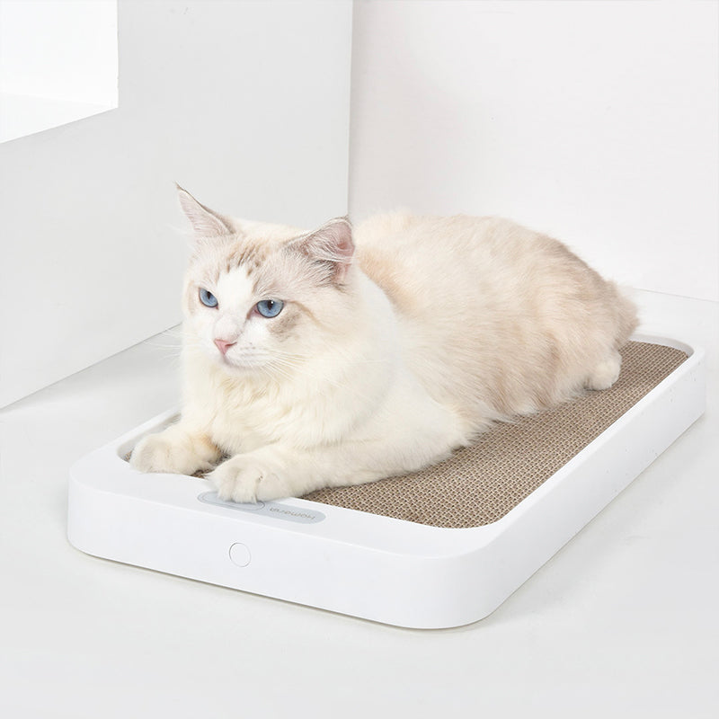 Cat Scratch Board Weight Scale