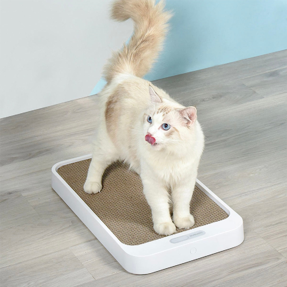 Cat Scratch Board Weight Scale