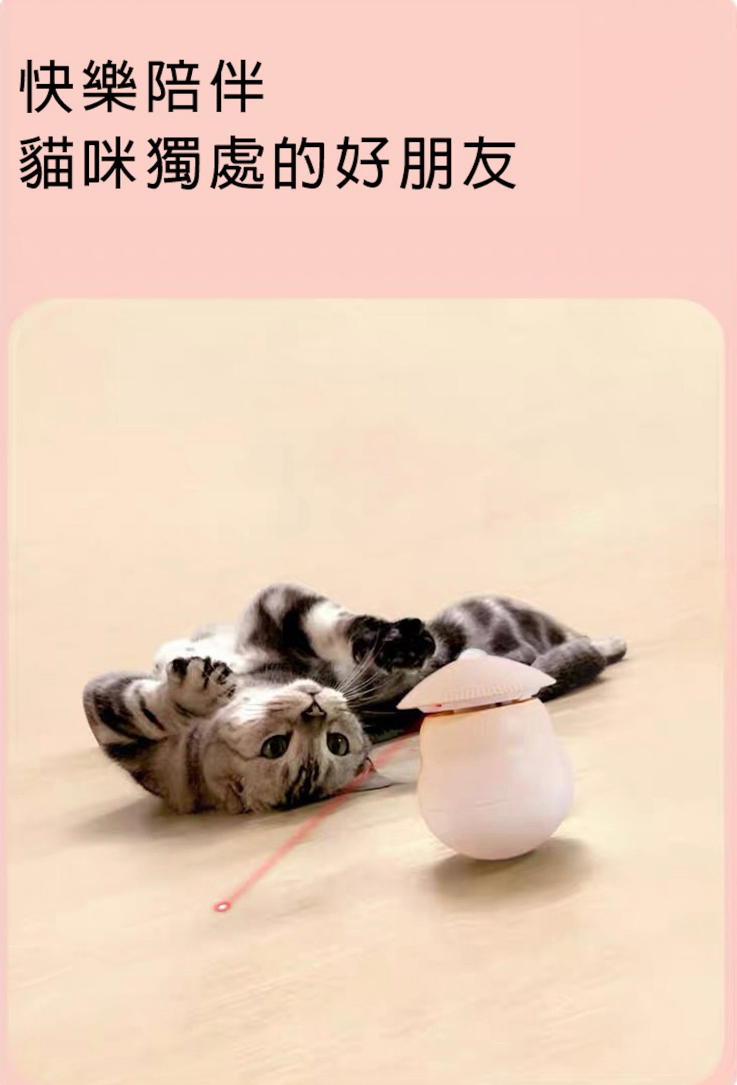 Laser Pet Toy