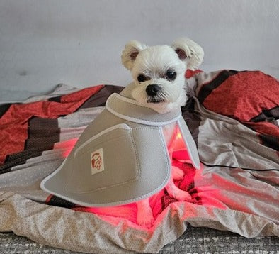 Ciriuspet Warm Pad-Pro