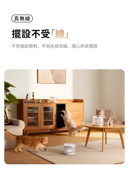 HomeRun BF10 Wireless Pet Water Fountain