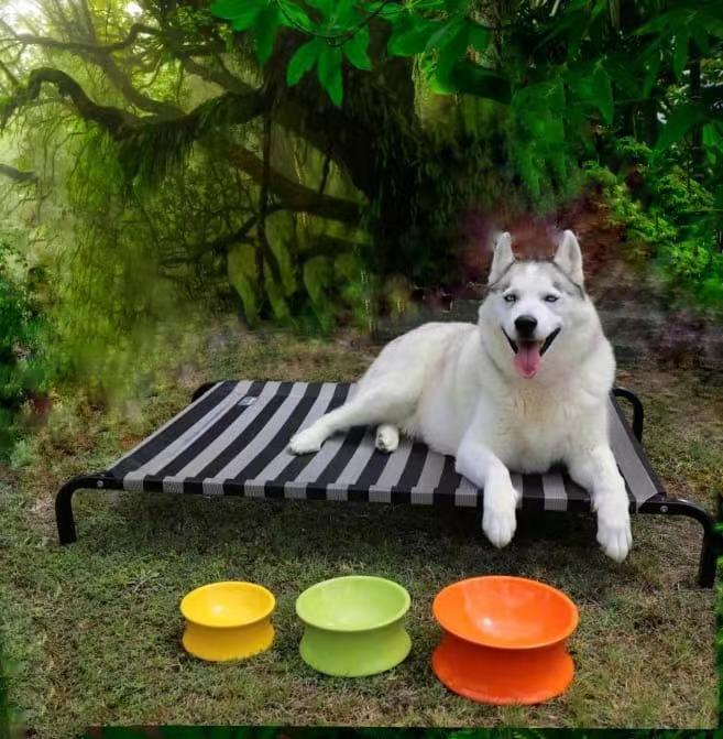 Kurve Raised Ceramic Pet Bowl