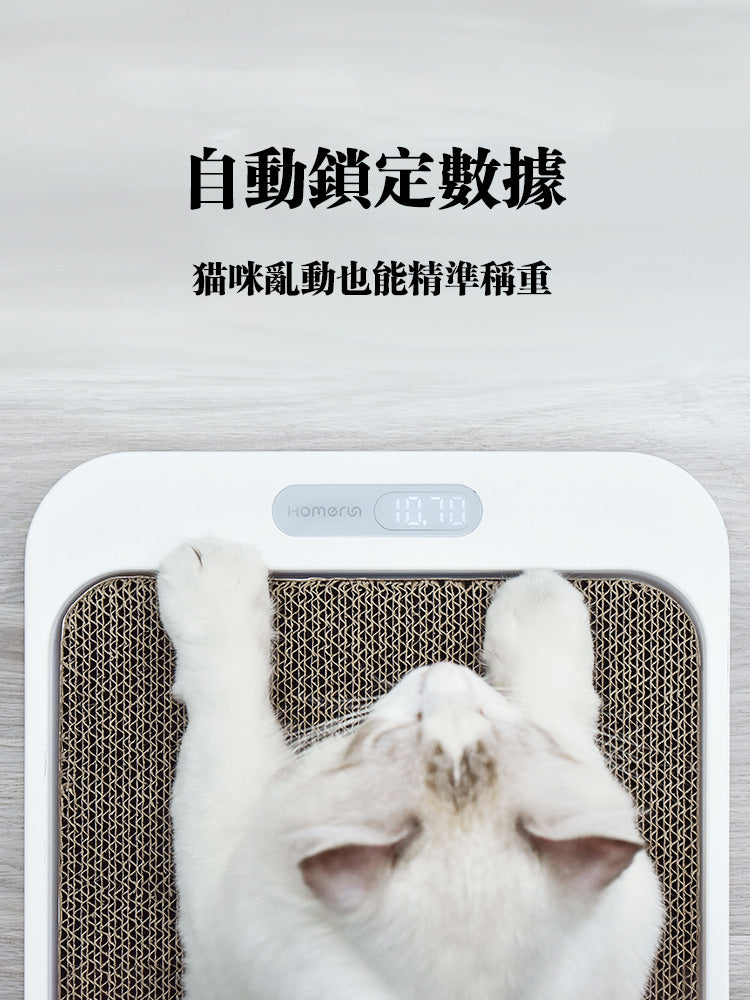 Cat Scratch Board Weight Scale