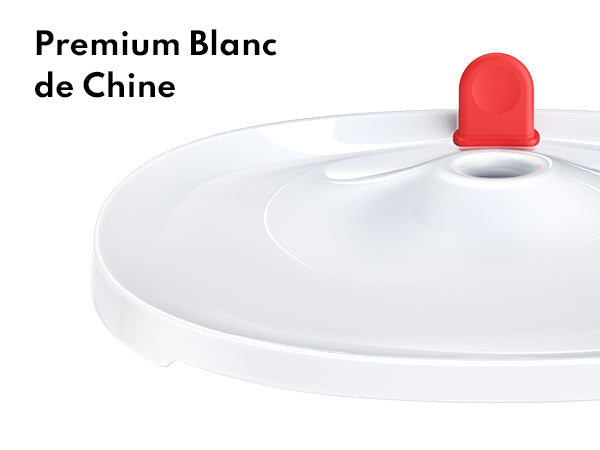 Homerun Pet Fountain Porcelain plate + Wireless UVC pump