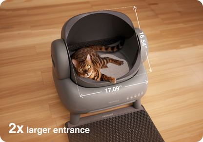Neaskasa Smart Cat Litter Box