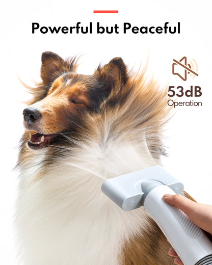 HomeRun PD10 Pet Hair Dryer