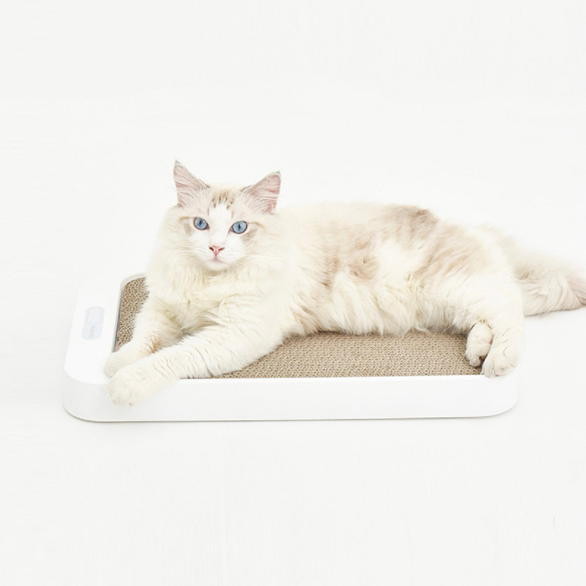 Cat Scratch Board Weight Scale