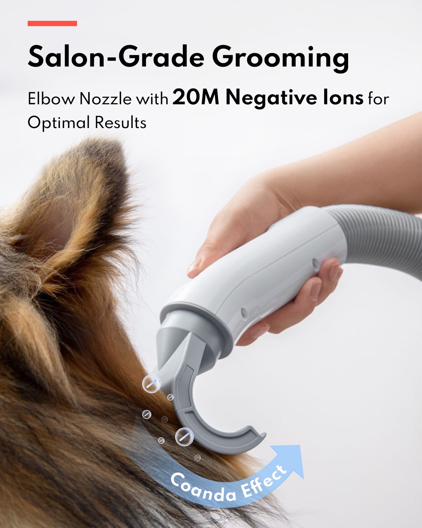 HomeRun PD10 Pet Hair Dryer