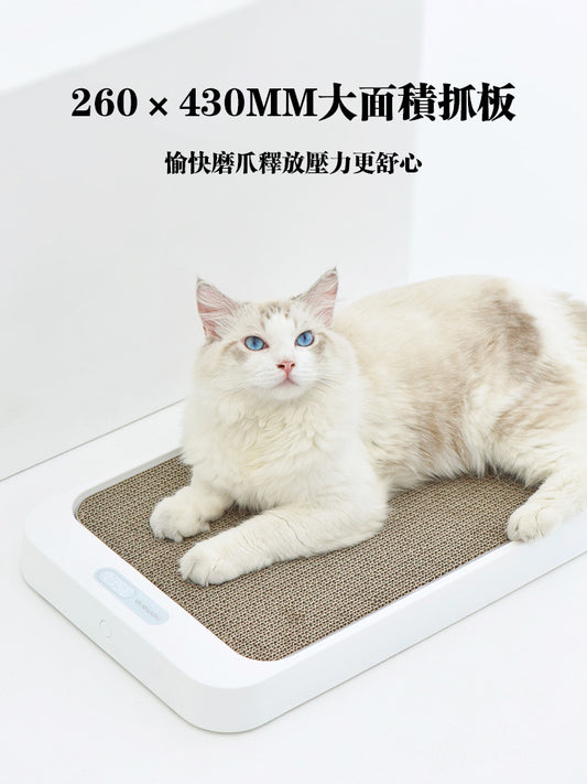 Cat Scratch Board Weight Scale