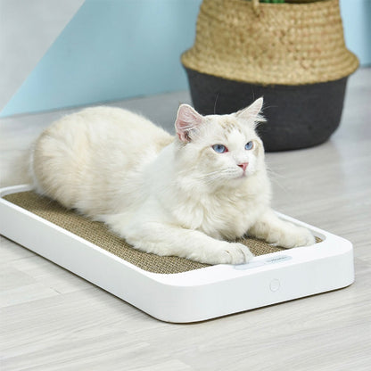 Cat Scratch Board Weight Scale