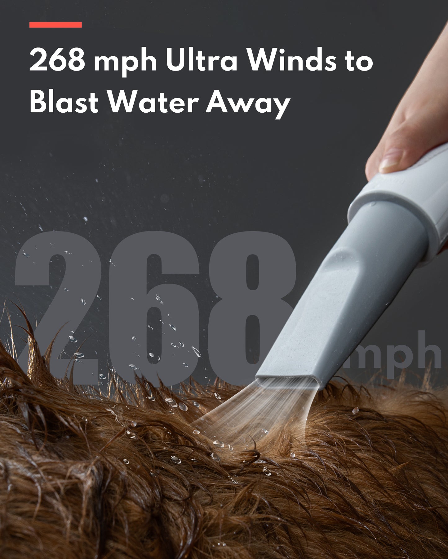 HomeRun PD10 Pet Hair Dryer