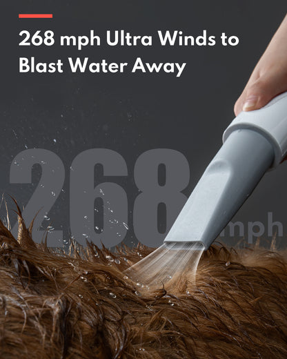 HomeRun PD10 Pet Hair Dryer