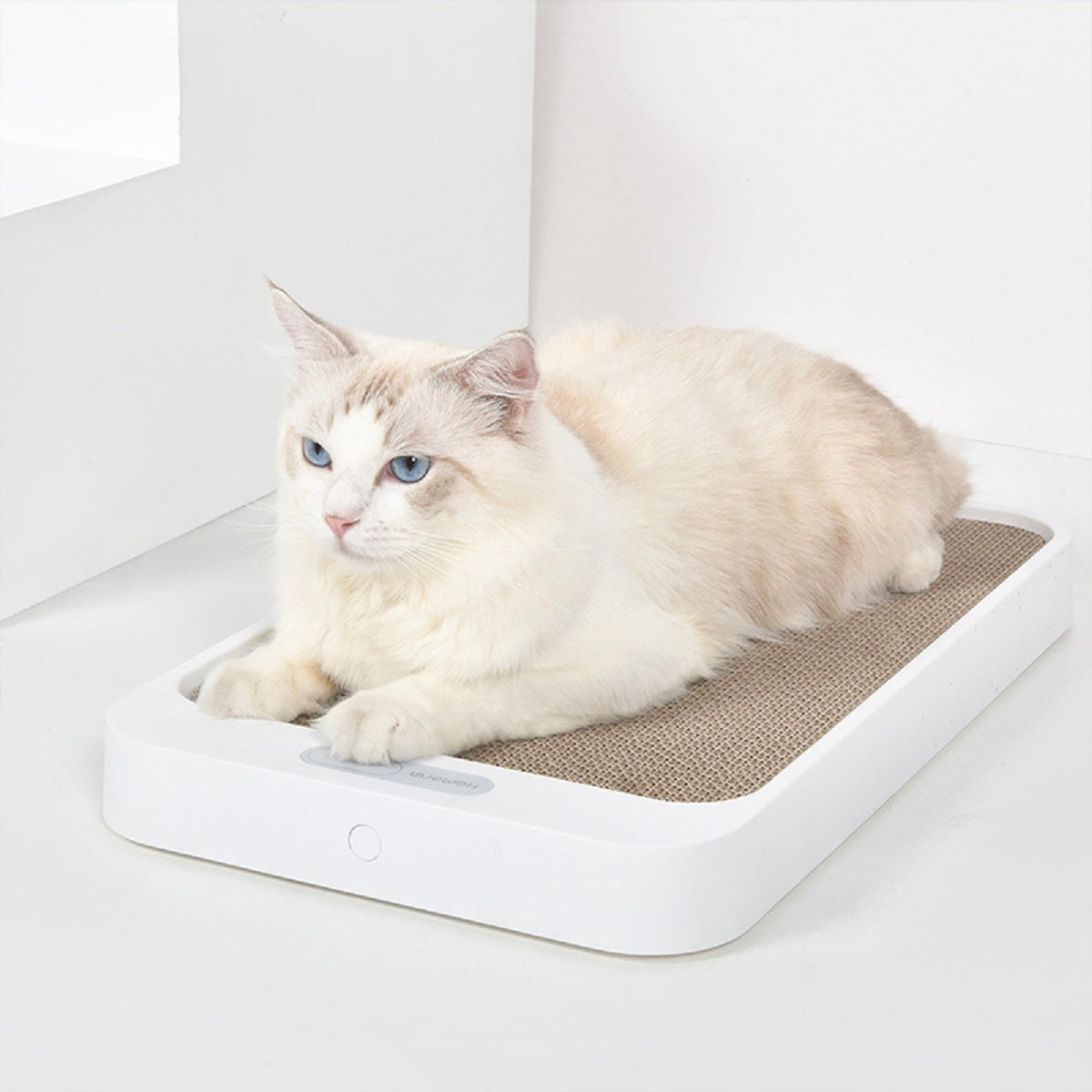 Cat Scratch Board Weight Scale