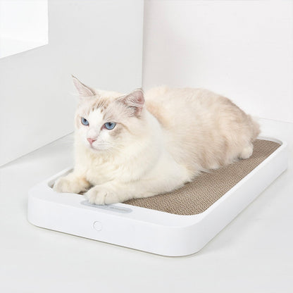 Cat Scratch Board Weight Scale