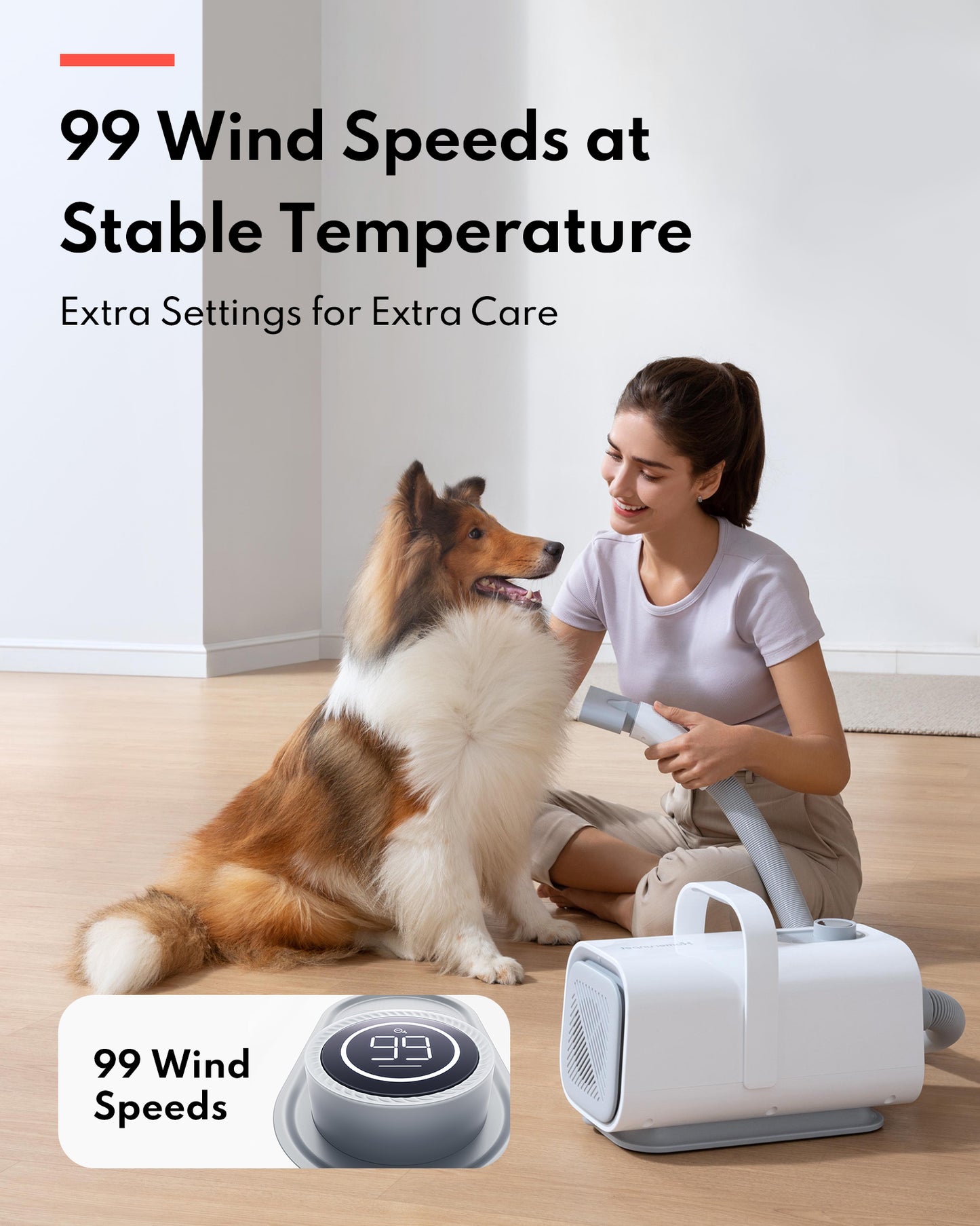 HomeRun PD10 Pet Hair Dryer