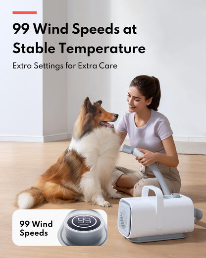 HomeRun PD10 Pet Hair Dryer