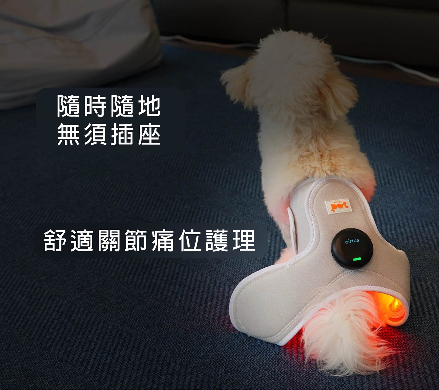 Wireless Controller for Cirius Pet Warm Cape/ Cape Pro