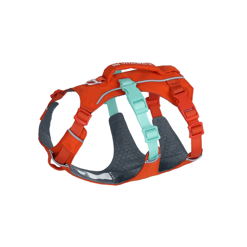 FeatherGrip Pet Harness
